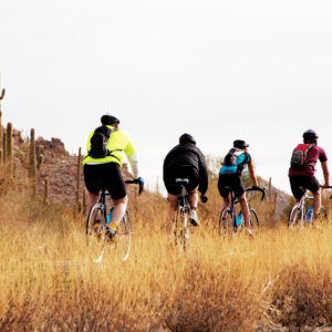 Must Try Bike Tours in Palm Springs