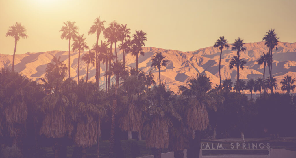 Palm Springs Matt Violet Color Grading Panorama. Palm Trees and Mountains in a Background. Coachella Velley California, United States of America.