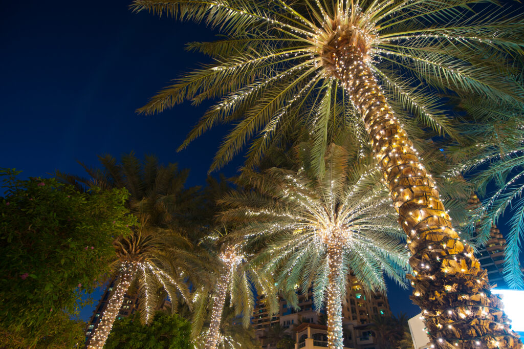 christmas decoration background palm tree.