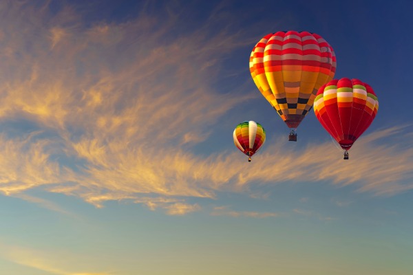 hot air balloons in the sky